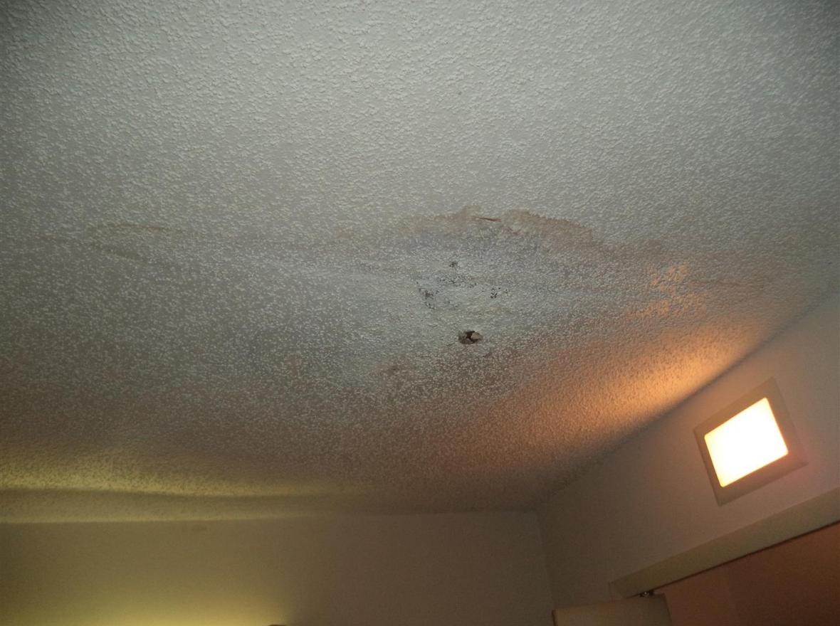 Before photos of the house on Dwarf Pine Avenue