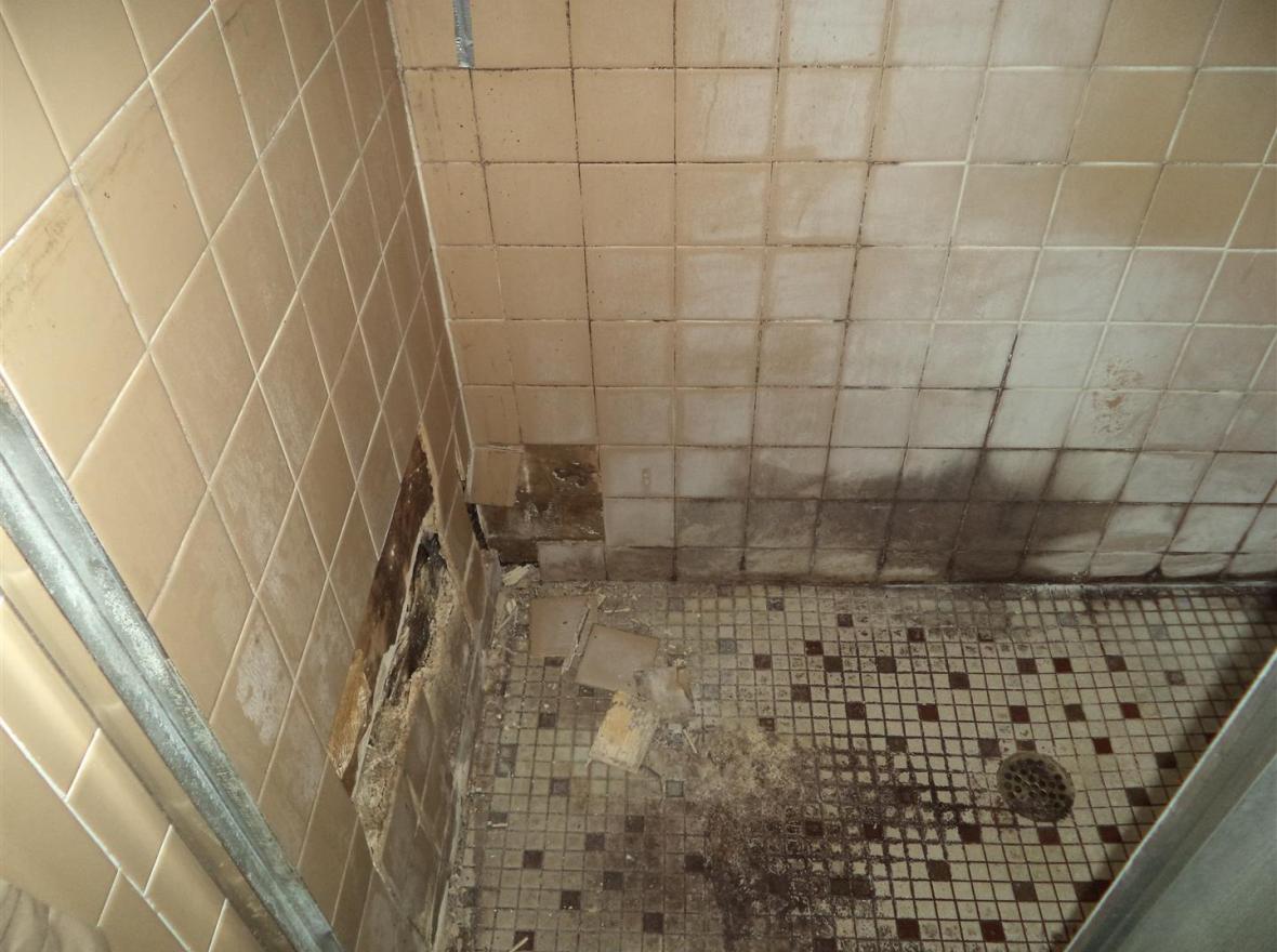 Before photos of the house on Dwarf Pine Avenue